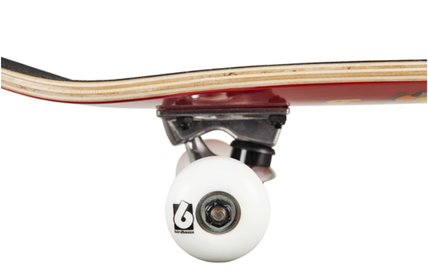 Birdhouse Chicken Mini 7.375 Skateboard Complete - Image 3